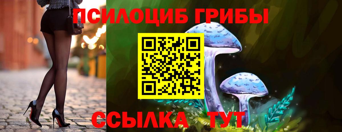 как найти закладки  Псилоцибиновые грибы мухоморы  Вход с VPN  Топки 